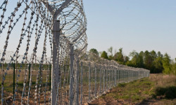 Өзбекстан ТИМи чек арадагы чырды "жергиликтүү мүнөздөгү окуя" деп атады - Кыргызстан жаңылыктары