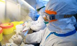 Коронавирус: 38 бейтап ооруканадан чыгарылды - Кыргызстан жаңылыктары