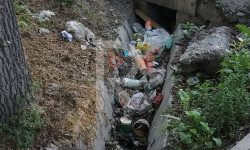 Арыктагы чириген таштандылар - Кыргызстан жаңылыктары