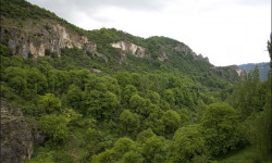 Кыргызстанда жаңгак токойлоруна дрон менен дары чачылууда - Кыргызстан жаңылыктары 