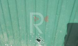 Дарбазаны теше аткан ит атарлар - Кыргызстан жаңылыктары