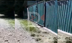 Мектеп китепканасы эмне себептен менчик үйгө өтүп кеткен? - Кыргызстан жаңылыктары