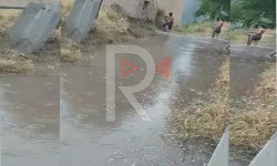 Суу түтүгү жарылып, үйлөрдү суу каптап жатат - Кыргызстан жаңылыктары