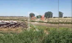 Дача Лучтагы мыйзамсыз сатылган жерлер - Кыргызстан жаңылыктары