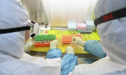 СOVID-19 инфекциясынын жаңы 37 учур катталды - Кыргызстан жаңылыктары 