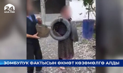 Сузакта катталган үй-бүлөлүк зомбулук фактысын Өкмөт көзөмөлгө алды - Кыргызстан жаңылыктары 