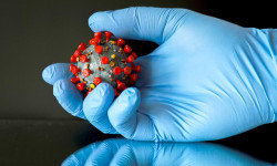 Коронавирус: 22 бейтап ооруканадан чыгарылды - Кыргызстан жаңылыктары 