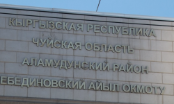 Аламүдүн районундагы Лебединовка айыл өкмөтүндө “Санарип аймак” долбоору ишке кирди - Кыргызстан жаңылыктары 