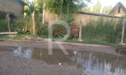 Талас: арыктын суусу көчөнү каптап, элге түйшүк жаратууда - Кыргызстан жаңылыктары