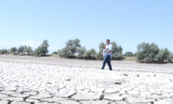 Элет тургундары менен жеке ишкердин талашы - Кыргызстан жаңылыктары