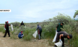 Ысык-Көл: Тамга айыл тургундары көл жээгин таштандыдан тазалашты  