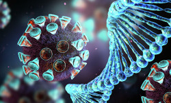 COVID-19: Кыргызстандагы соңку кырдаал - 25.06.2020