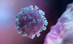 БУУ Кыргызстанга коронавирусту 99% так аныктоого шарт түзүп берди