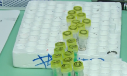 СOVID-19: Дагы 309  учур катталды