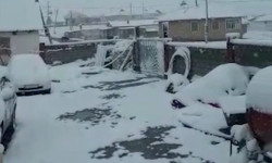 Алайда 22 см кар жаады