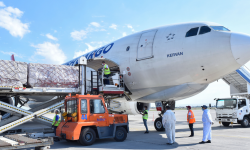Өкмөт 500 мобилдик кычкылтек концентраторун сатып алды