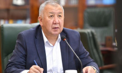 Премьер-министр К.Боронов фармацевтикалык компаниялардын өкүлдөрү менен жыйын өткөрдү