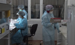 Коронавирус: Талас облусунда 251 дарыгер иштеп жатат