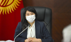 А.Исмаилова COVID-19 дартынан жабыркагандарды дарылоо механизмдерин жакшыртуу маселеси боюнча кеңешме өткөрдү
