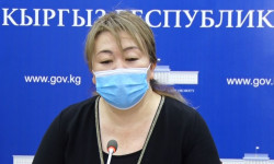 Өлкөдөгү эпидемиологиялык кырдаал - Кыргызстан жаңылыктары