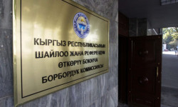 «Социал-Демократтар» саясый партиясы жаңы ыйгарым укуктуу өкүл дайындады