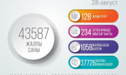 COVID-19: Кыргызстандагы соңку кырдаал - 28.08.2020