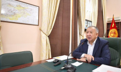 Боронов: COVID-19 пандемиясына каршы күрөшүүдө коомчулуктун биримдиги маанилүү