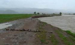 Максимальное повышение уровня воды в реке Нарын