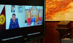 Башкы прокурор өлкөдөгү мыйзамдуулуктун сакталышы боюнча президентке маалымат берди 