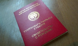 Аз камсыз үй-бүлөлөр балдарына документти бекер ала баштайт
