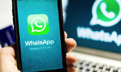 Айыл чарба министрлигинде коррупцияга каршы күрөшүү иши. What’s App номуру иштей баштады 