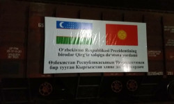 Өзбекстан Республикасынан гуманитардык жүктүн экинчи партиясы келди