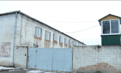 Абактарда жаза мөөнөтүн өтөп жаткан 268 адамга ырайым берилди