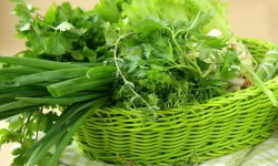 Пайдалуу кеңеш: Аш-көктөрдүн ден-соолукка тийгизген пайдасы  (аудио)