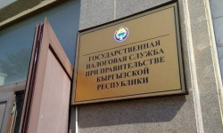 Салык кызматы январда 2,5 млрд сом камсыздандыруу төгүмдөрүн жыйнады