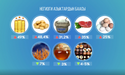 Азык-түлүк баасынын кымбатташы боюнча маселе талкууланганы менен жыйынтык чыга элек 