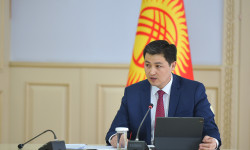 Бажы жана салык тармагын санариптештирүүнү тездетүү