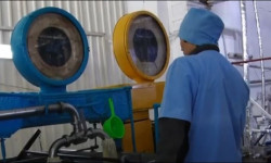 Кыргызстан менен Өзбекстандын ортосундагы айыл чарба тармагында кызматташуу жаңы деңгээлге көтөрүлөт