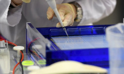 Кыргызстанда акыркы бир күндө коронавирус 55 адамдан табылып, 1 адам каза болду