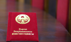 Баш мыйзамдын жаңы долбоору