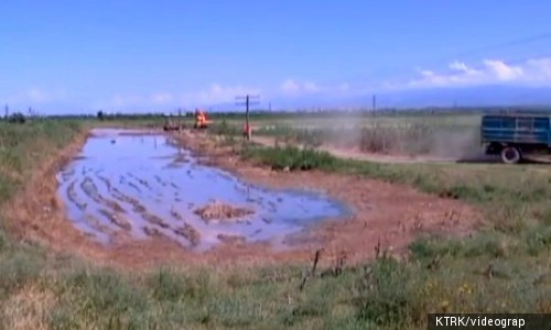 Токмоктогу спирт өндүргөн заводдун калдыктарынын экологияга зыяны жок