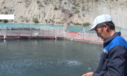 Аскарбек Жаныбеков Тоң мамлекеттик балык заводунун бүгүнкү күндөгү көйгөйлөрү менен таанышты