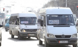 Бишкектеги эл ташыган айрым кичи автобустардын айдоочулары ишин жандантты 