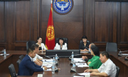 COVID-19га каршы күрөшүүдө курман болгон дарыгерлердин элесин түбөлүккө калтыруу маселеси талкууланды