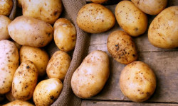 Кыргызстан элди ички өндүрүштүн эсебинен картошка, сүт жана эт азыктары менен гана камсыздай алат