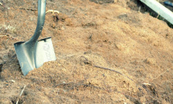 Жер тилкелерин мыйзамсыз каттоо жана берүү боюнча коррупциялык схема аныкталды