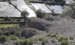 Нарында сел жүрүп, айдоо аянттарын каптады