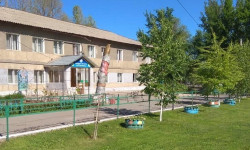 Өспүрүмдүн өлүмү табышмак бойдон калууда...