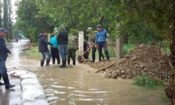 Жаандын жаашы түйшүк жаратты