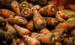 Акыркы бир нече күндө сабиздин баасы кескин жогорулады